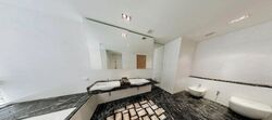 Skysuites@Anson (D2), Apartment #514496751